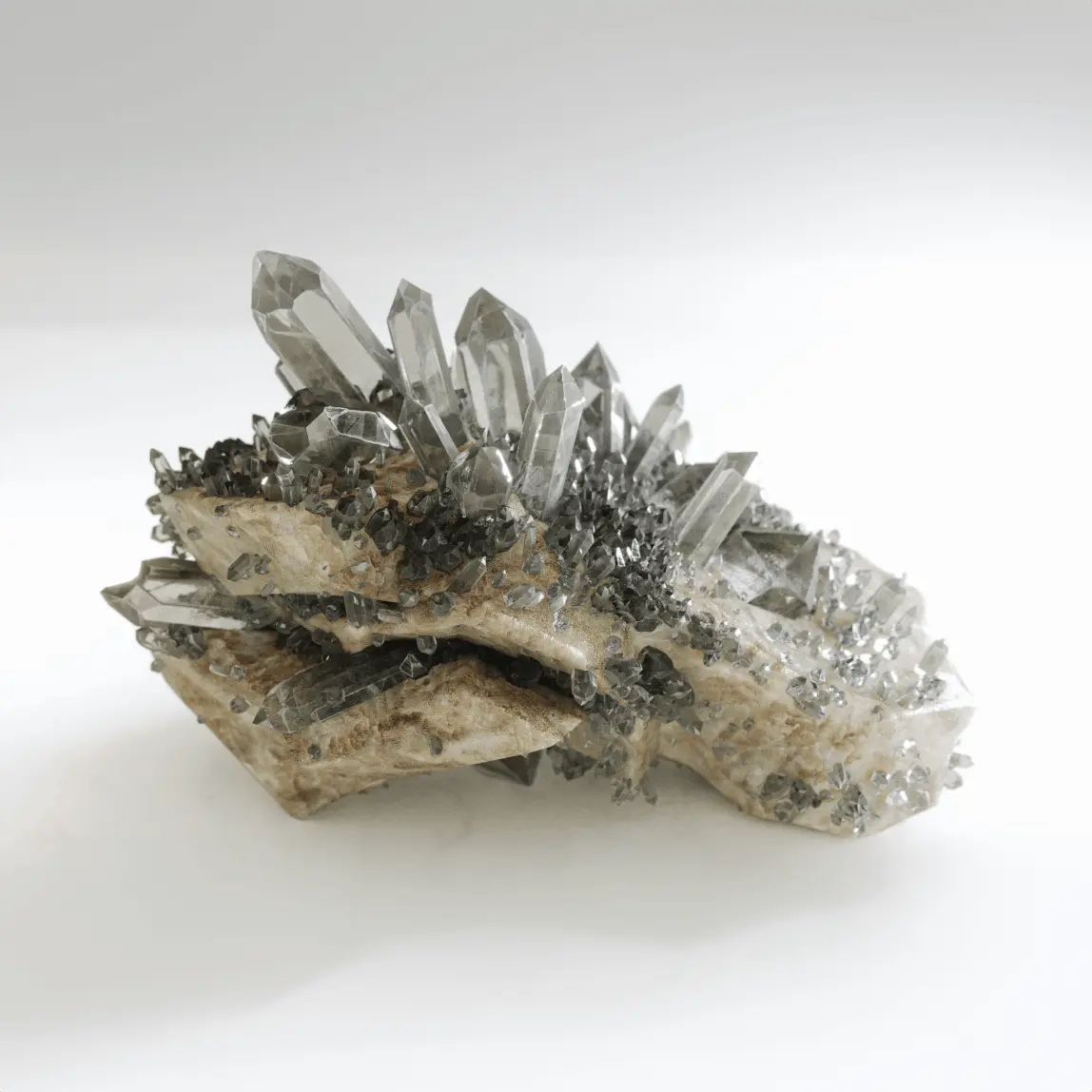 3d-xtrem portfolio 3d