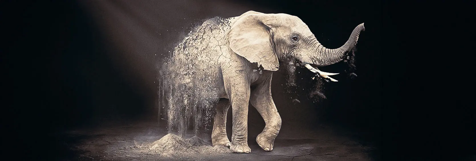 3D-xtrem.de_OliverKrüger_2D