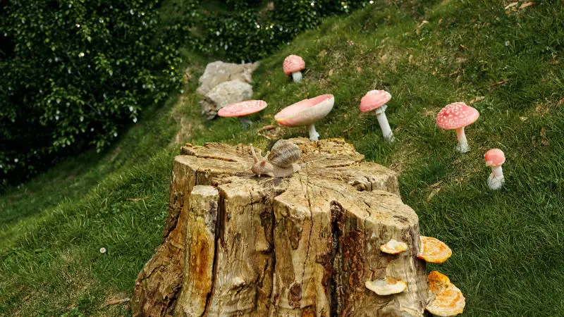 oliver-kruger-3d-xtrem-de-Exterior-Schnecke