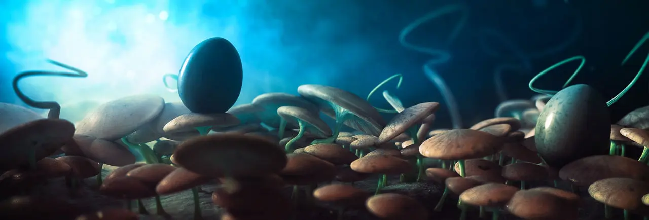 oliver-kruger-3d-xtrem-de-Pilze